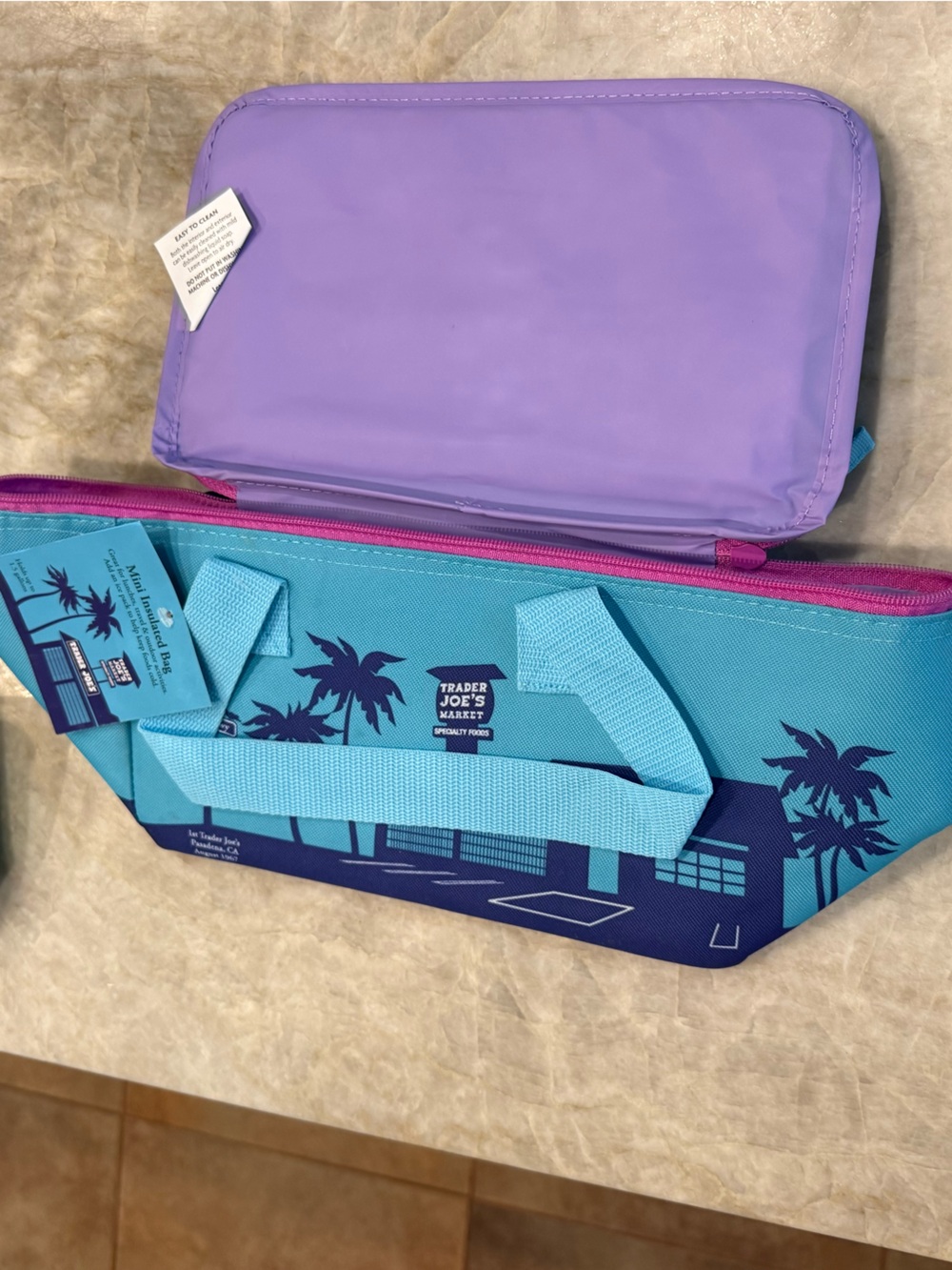 Trader Joe’s Mini Insulated cooler bag